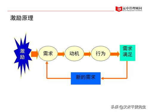 知名咨詢公司客戶案例 100頁(yè)人力資源管理的全面提升